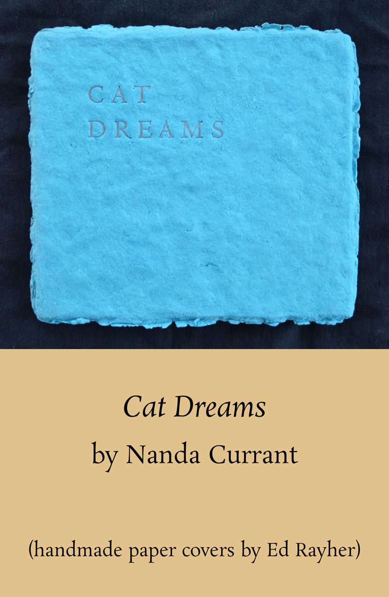 Cat dreams